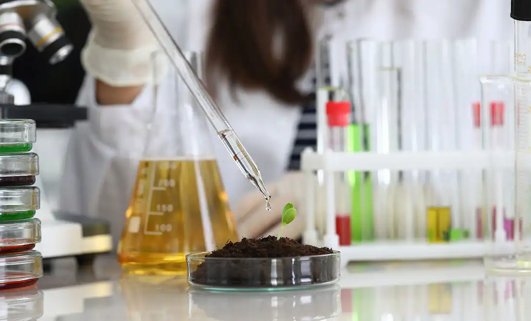 Boost Nutrient Efficiency: The Power of Plant-Based Free Amino Acids